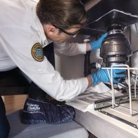 Benjamin Franklin Plumbing of Charlotte ico