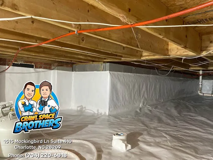 Crawl Space Brothers Picture 1