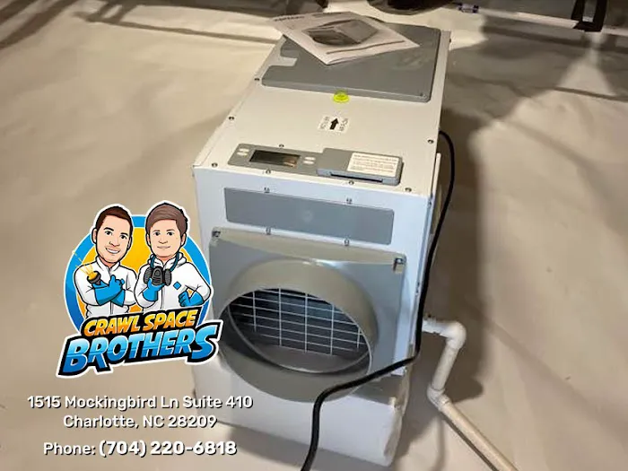 Crawl Space Brothers Picture 2