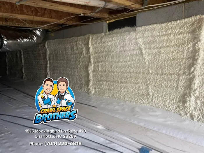 Crawl Space Brothers Picture 5