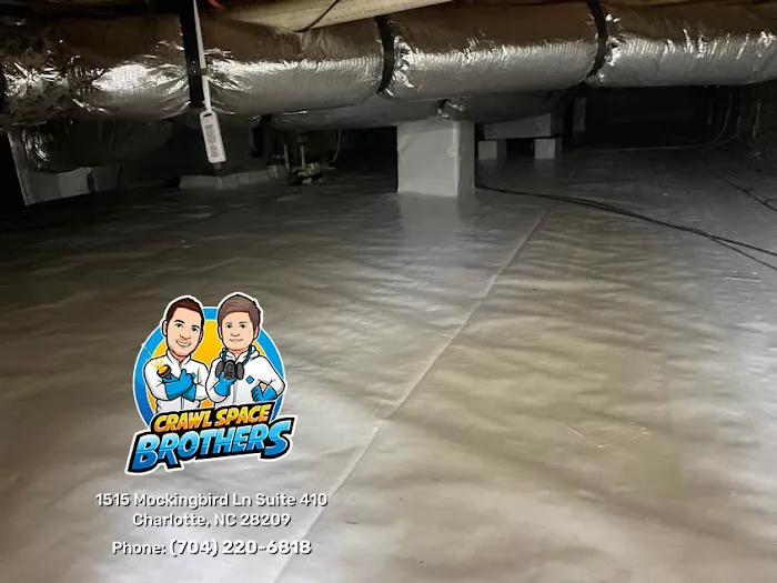 Crawl Space Brothers Picture 4