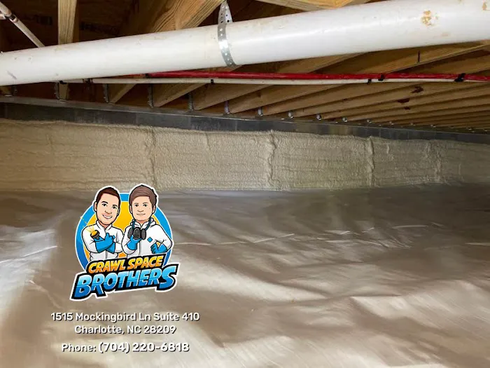 Crawl Space Brothers Picture 8