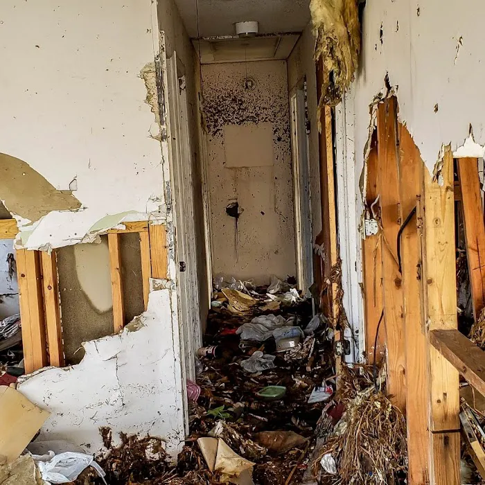 ASAP Flood & Fire Restoration Picture 1