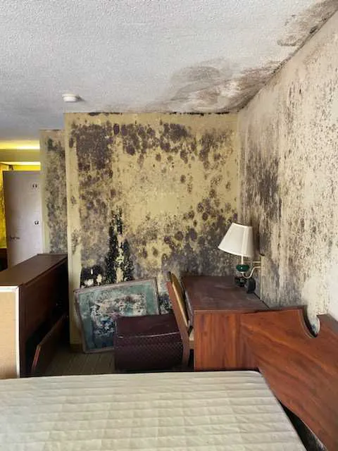 247 Aquadry Picture 7