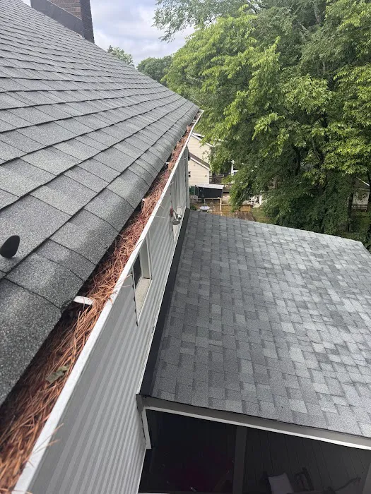 SHACK SHINE Picture 5