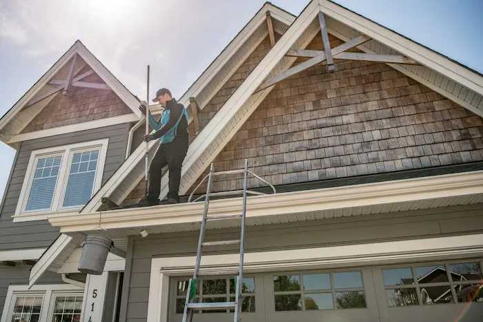 SHACK SHINE Picture 4