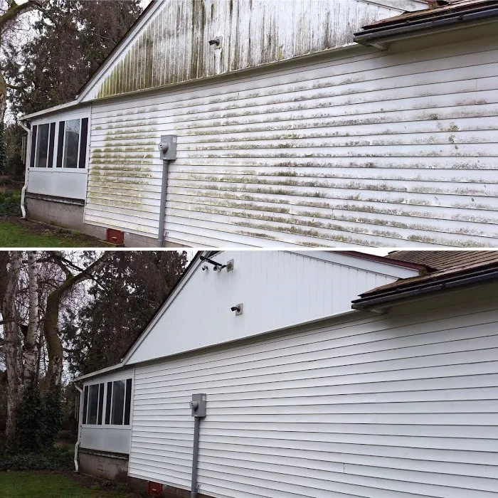 SHACK SHINE Picture 7