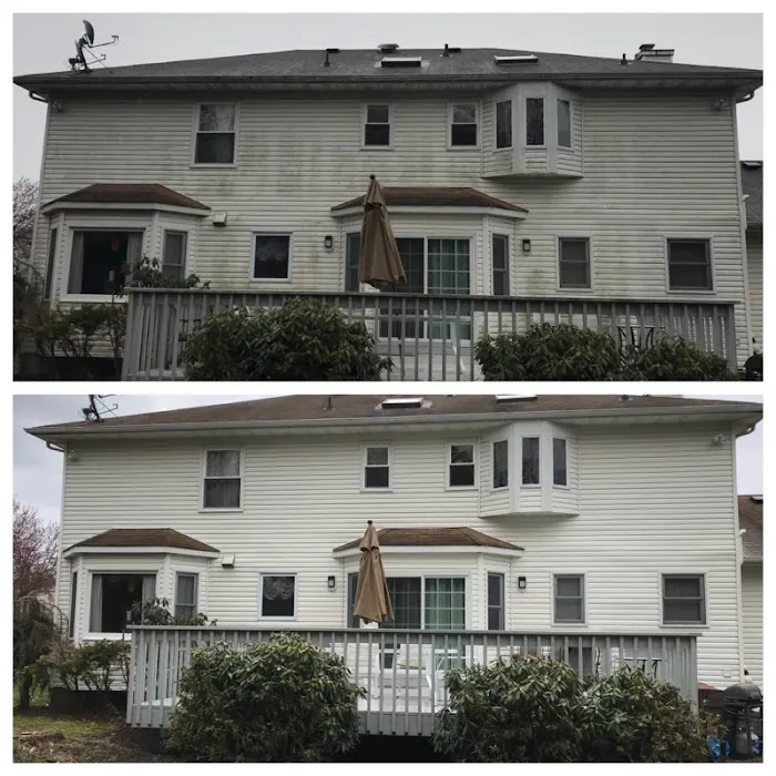 SHACK SHINE Picture 8