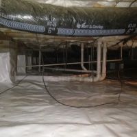 Carolina Crawlspace Pros ico