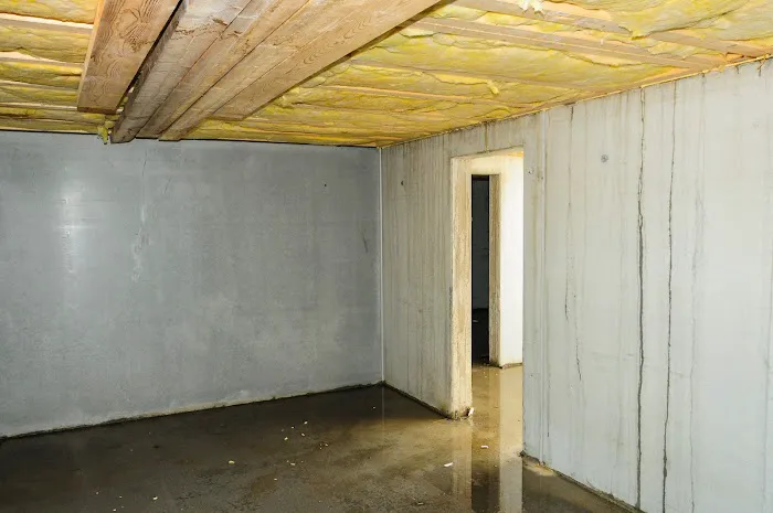 Carolina Crawlspace Pros Picture 4