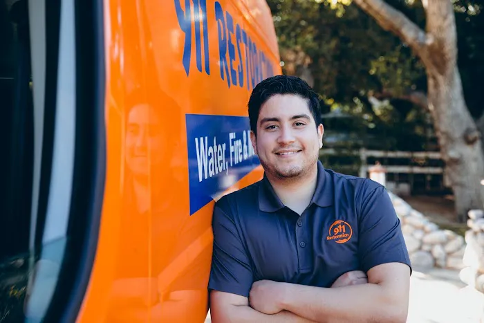 911 Restoration of Triad Picture 6