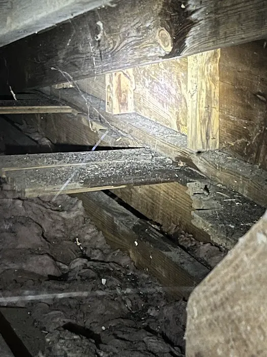 STOP Restoration of Winston-Salem NC Picture 2