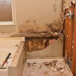 First Restoration America