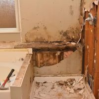 First Restoration America ico