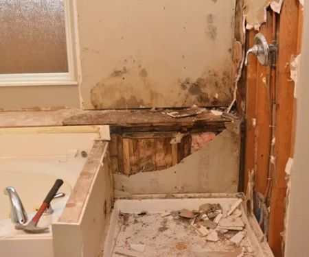 First Restoration America