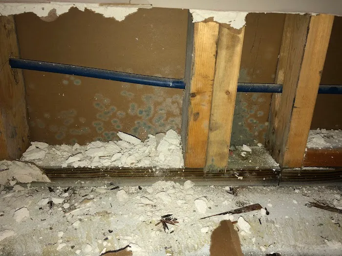 First Restoration America Picture 9