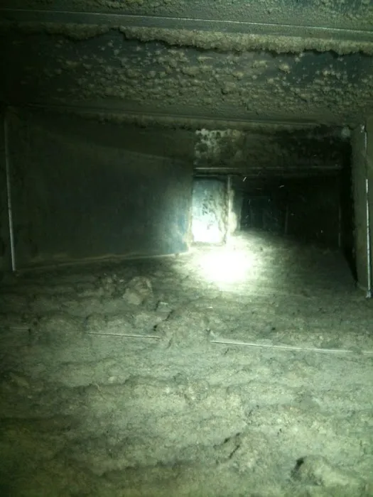 AdvantaClean of the Triad Picture 5