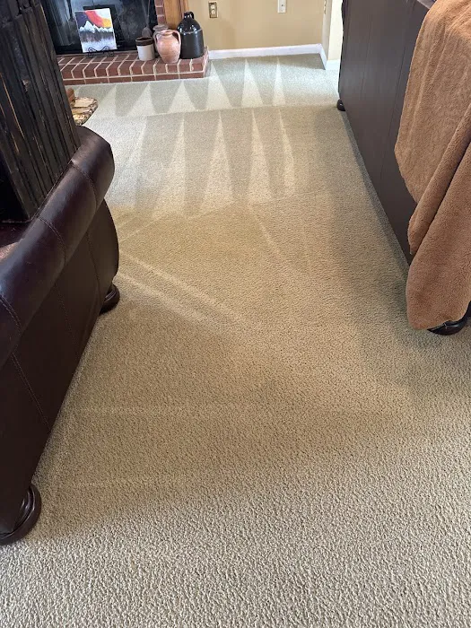 Stanley Steemer Picture 1