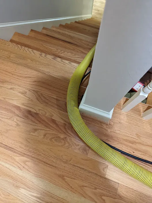 Stanley Steemer Picture 4