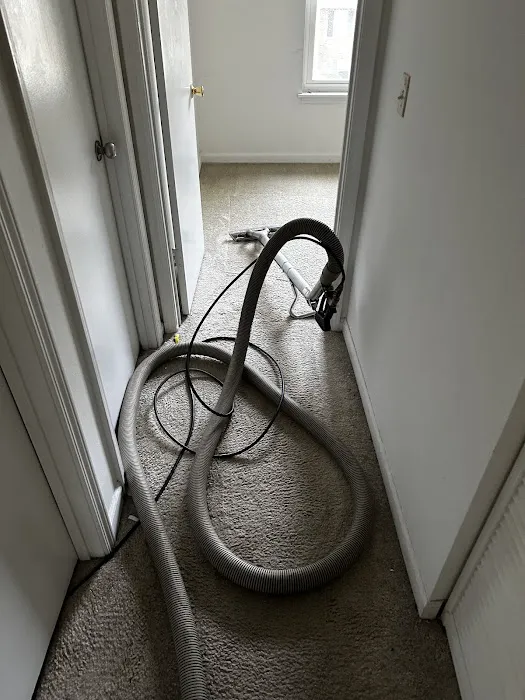 Stanley Steemer Picture 7