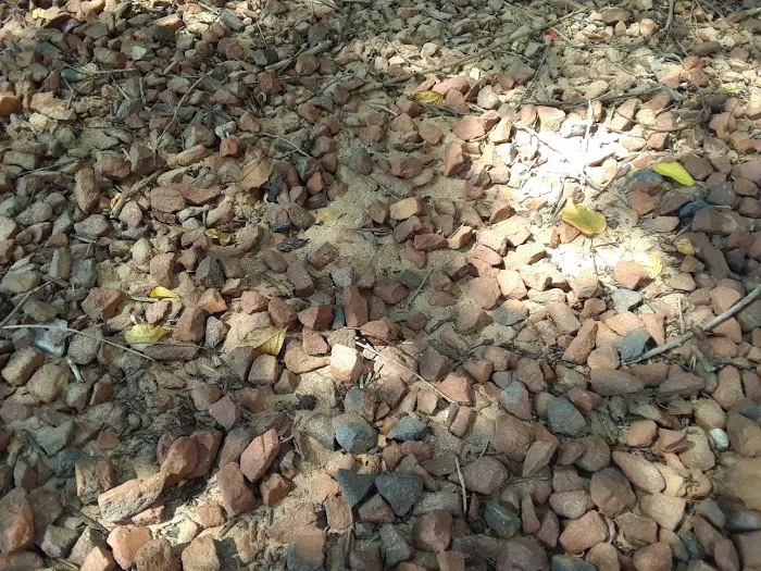 Spangler Restoration Greensboro Picture 7