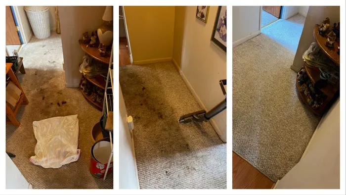 Voda Cleaning and Restoration of Greensboro and Winston Salem Picture 1