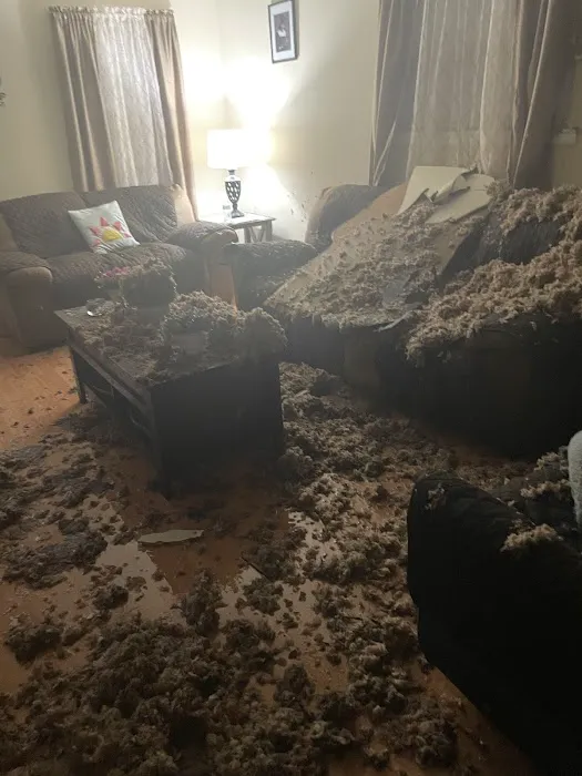 RestorePro Reconstruction Inc. Picture 4