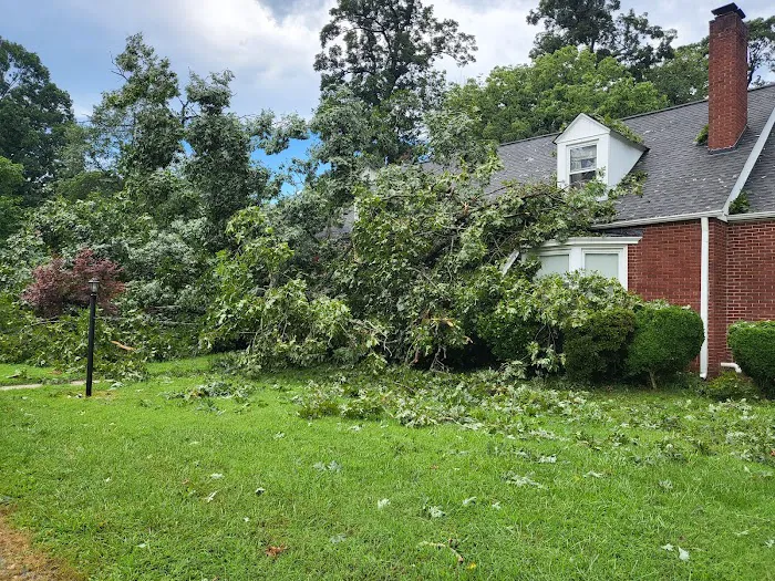 RestorePro Reconstruction Inc. Picture 8