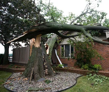 Spartan Recovery Services, Inc. Picture 2