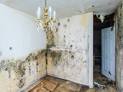 Spartan Recovery Services, Inc. Picture 6