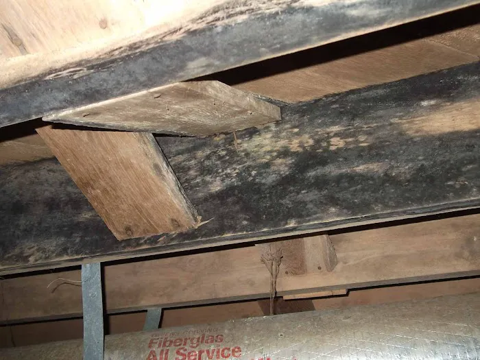 Charlotte Crawlspace Solutions, LLC. Picture 2
