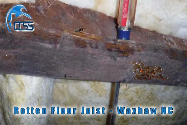 Charlotte Crawlspace Solutions, LLC. Picture 9