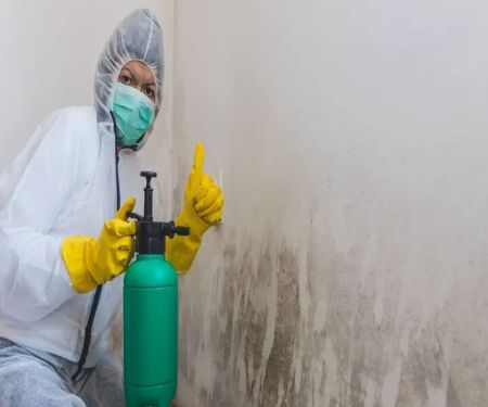 Camel City Mold Solutions