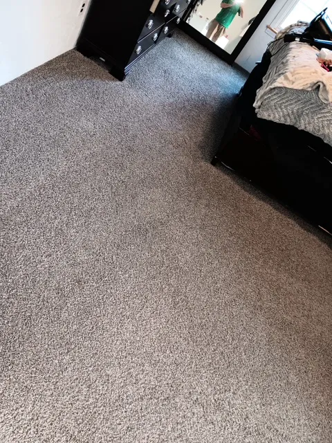 Chem-Dry of Winston Salem Picture 3