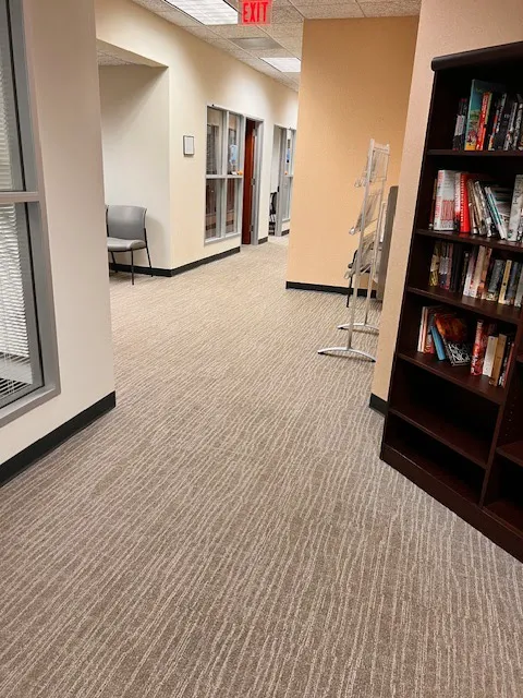 Chem-Dry of Winston Salem Picture 6