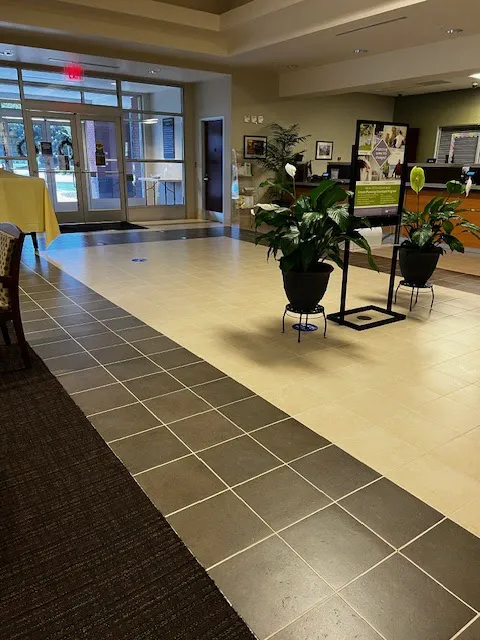 Chem-Dry of Winston Salem Picture 9