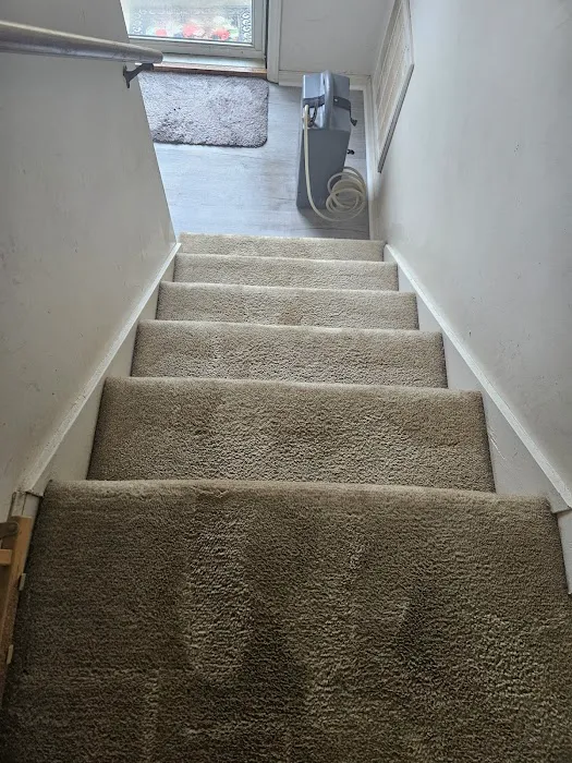 Stanley Steemer Picture 4