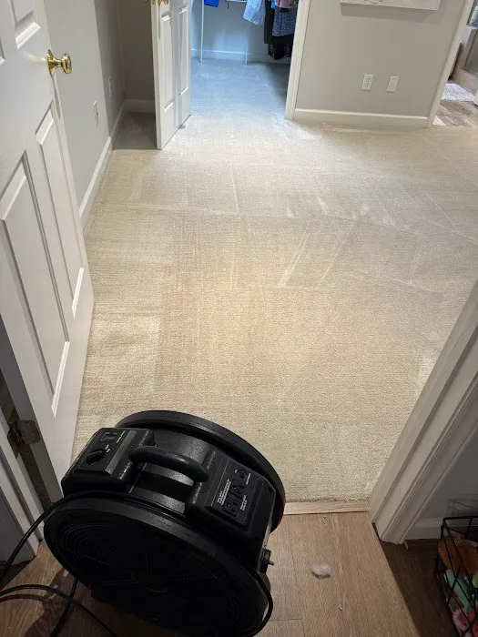 Stanley Steemer Picture 2