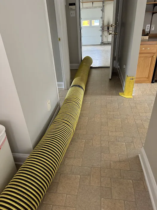 Stanley Steemer Picture 8