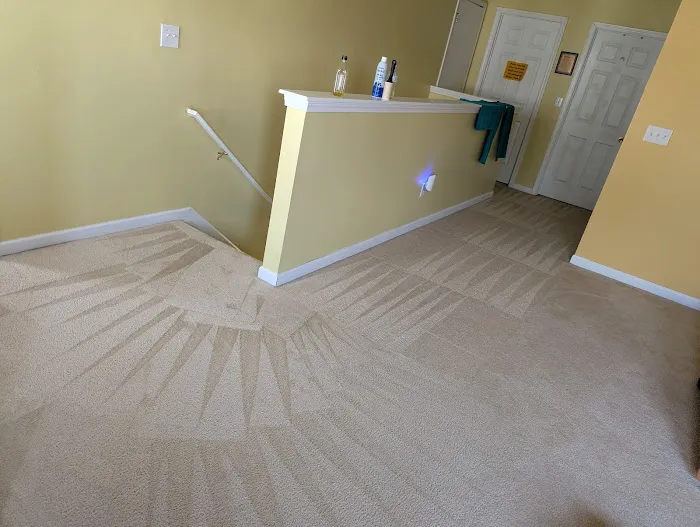 Stanley Steemer Picture 5