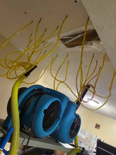 Elaborth Repairs Picture 1