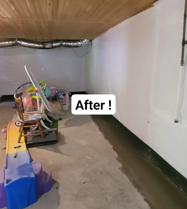 DRI-WRX MOLD & WATER REMOVAL The Firm For Restoration Picture 3