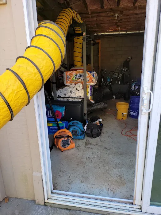 DRI-WRX MOLD & WATER REMOVAL The Firm For Restoration Picture 2