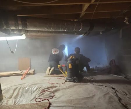 DRI-WRX MOLD & WATER REMOVAL The Firm For Restoration