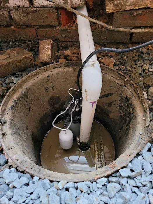 DRI-WRX MOLD & WATER REMOVAL The Firm For Restoration Picture 5