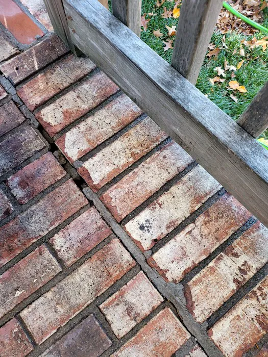 DRI-WRX MOLD & WATER REMOVAL The Firm For Restoration Picture 6