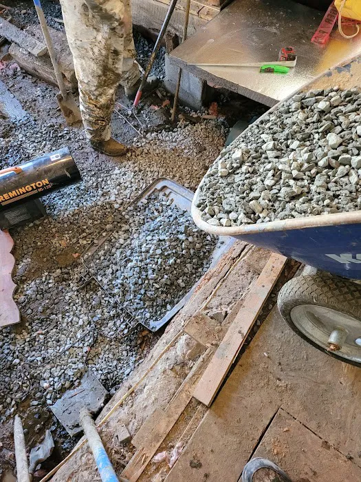 DRI-WRX MOLD & WATER REMOVAL The Firm For Restoration Picture 9