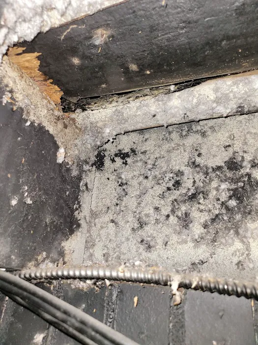 DRI-WRX MOLD & WATER REMOVAL The Firm For Restoration Picture 7