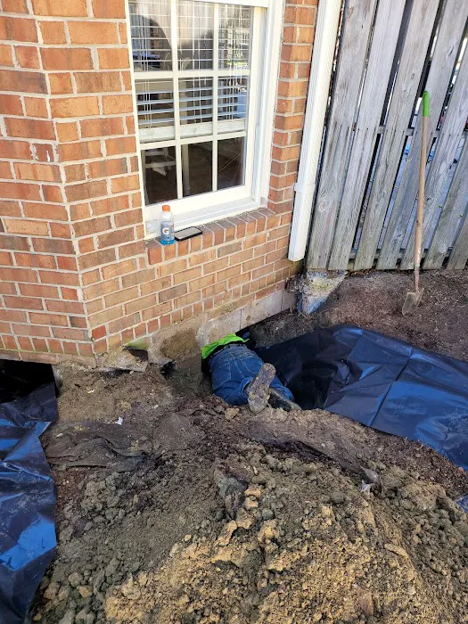 DRI-WRX MOLD & WATER REMOVAL The Firm For Restoration Picture 8