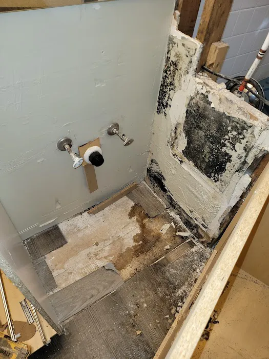 DRI-WRX MOLD & WATER REMOVAL The Firm For Restoration Picture 10